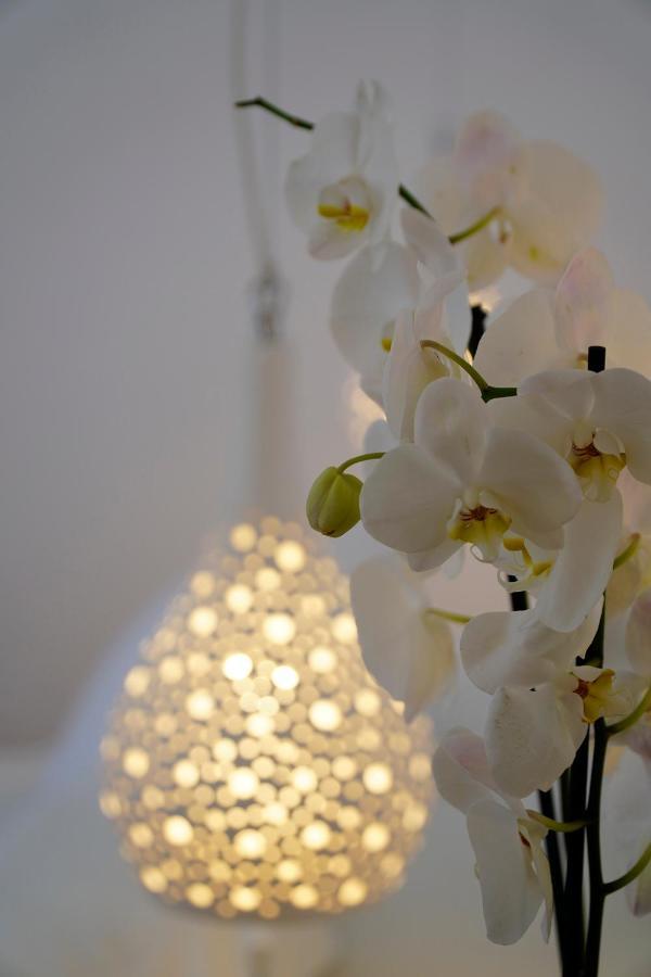 Margie Mykonos Hotel Mykonos Town